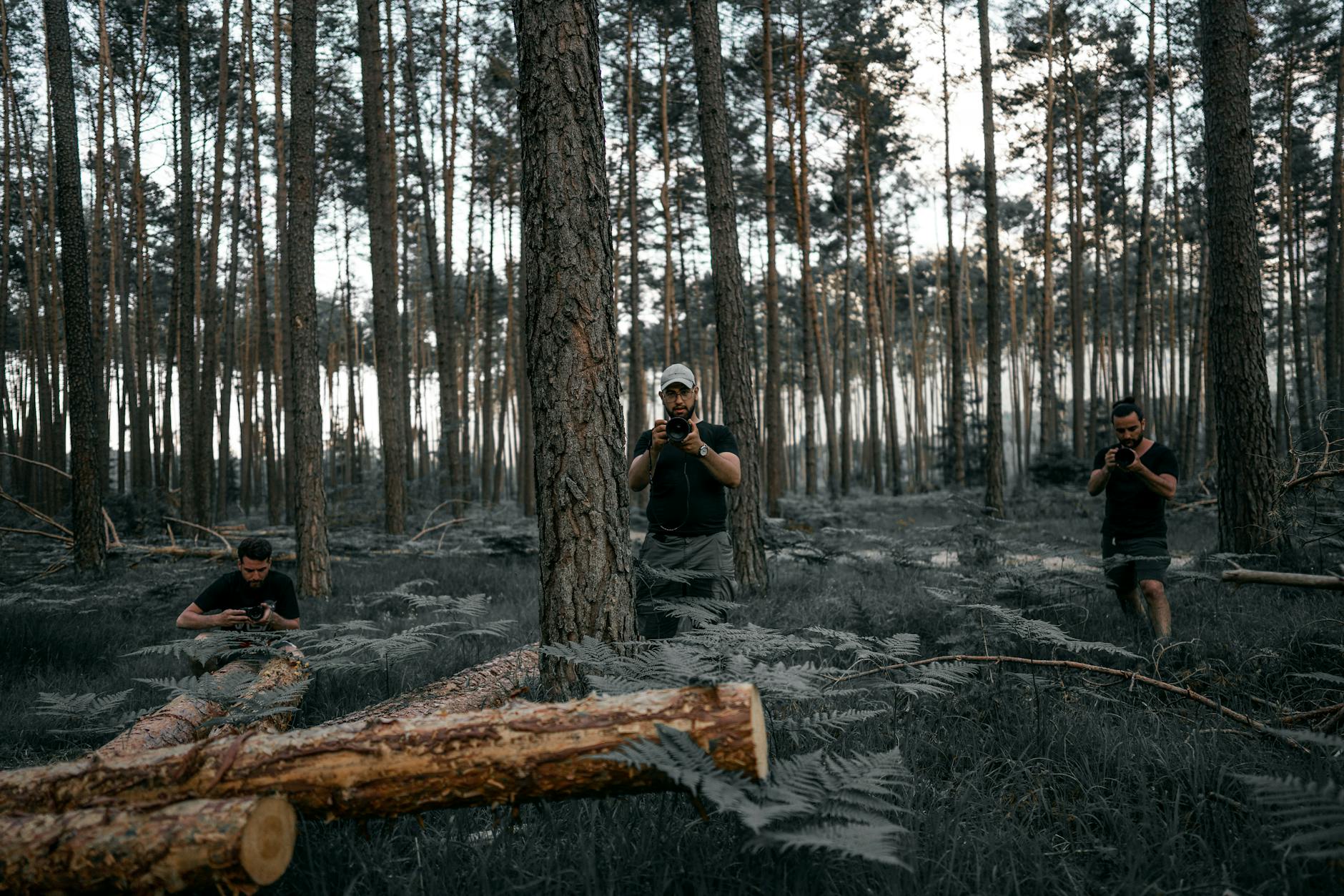 Voluntarios plantando árboles en un bosque de España