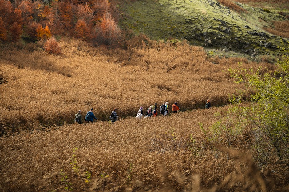 Voluntarios en tareas de conservación de biodiversidad en un parque natural