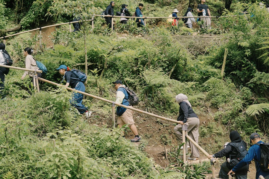 Voluntarios plantando árboles en ladera de montaña durante actividad de reforestación