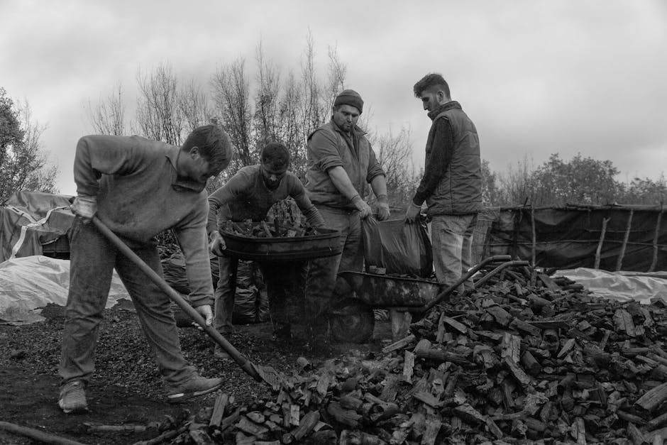 Voluntarios trabajando juntos en un bosque español durante una jornada de conservación